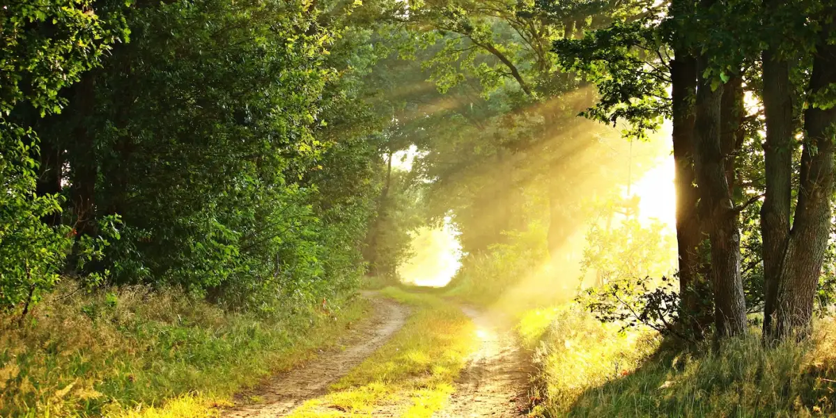 Opstanding ​​uit de dood